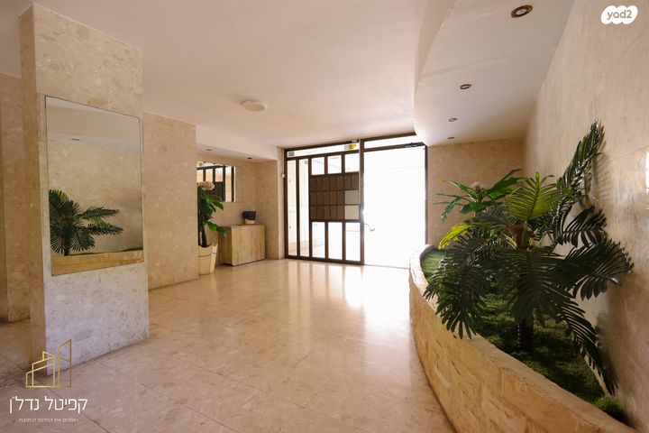 דירה, וולפסון, עיר, מרכז העיר, נהריה