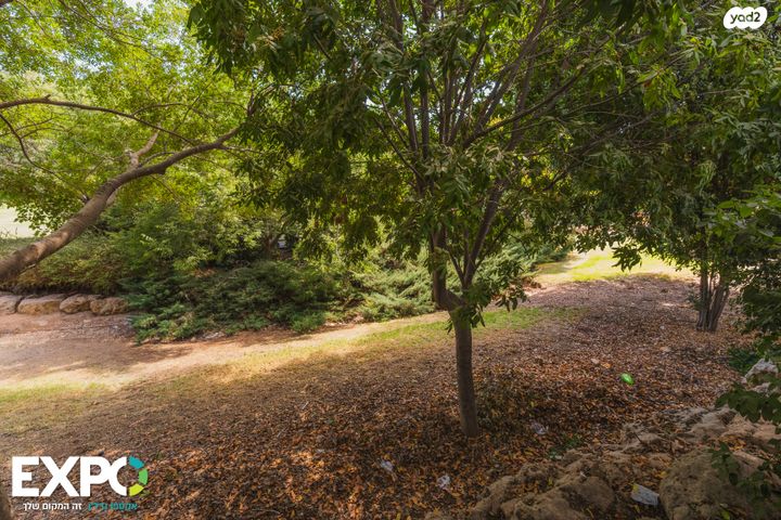 דירת גן, ששת הימים 8, רובע ג', אריאל