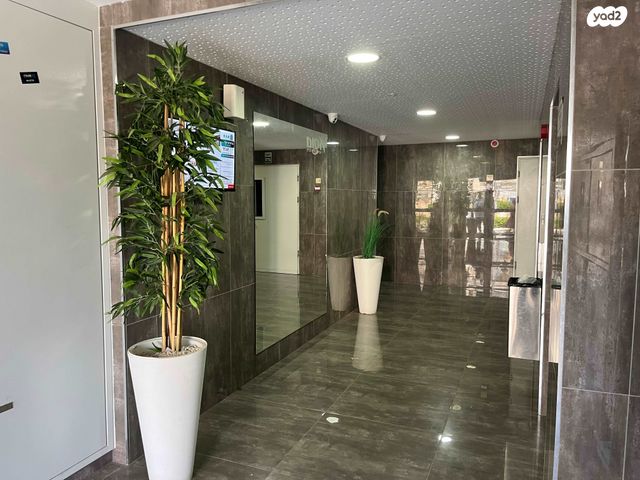 דירה, שקמים ואגמים, אשקלון