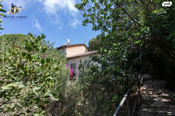 דירת גן, חיפה