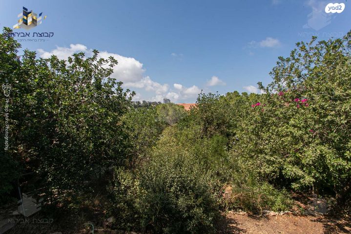 דירת גן, חיפה