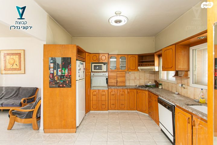 דירה, זיו, חיפה