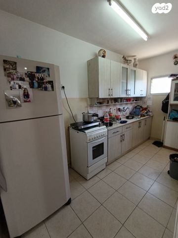 ז'בוטינסקי 430