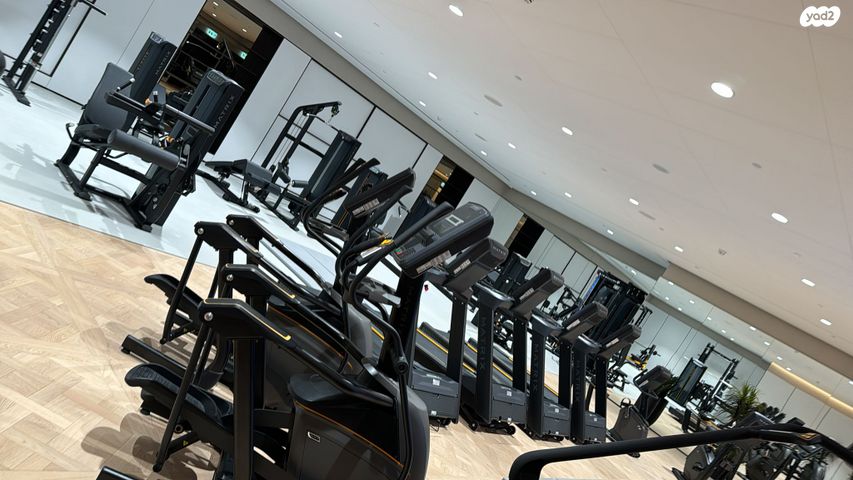 דירה, בבלי, תל אביב יפו