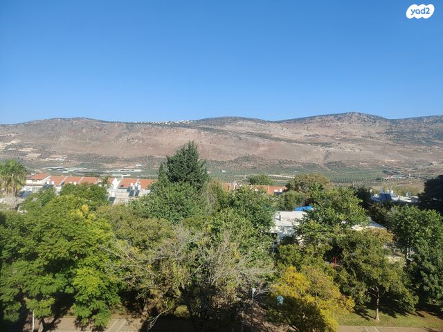 דירה, מגדים, כרמיאל