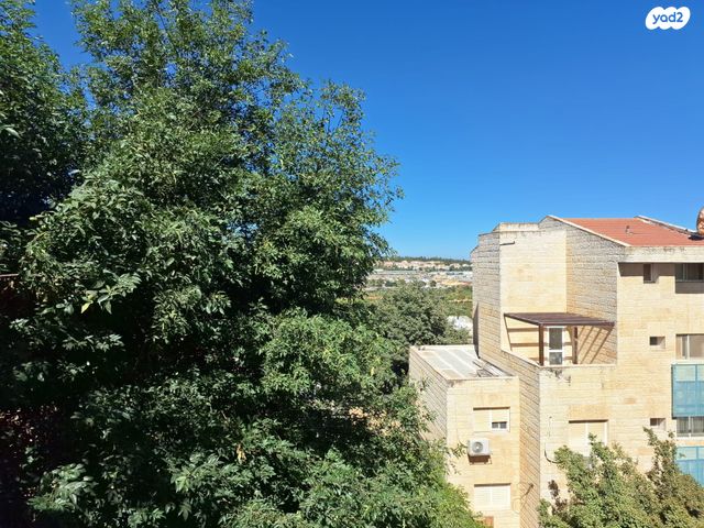 דופלקס, אלון שבות