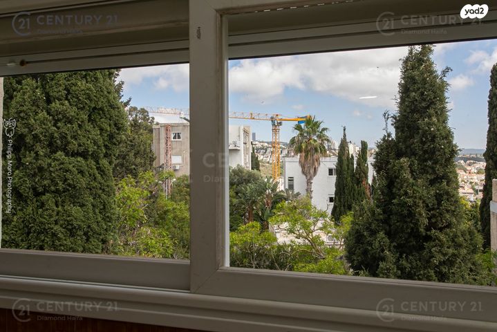 דירה, הרופא זלוצ'יסטי, אחוזה, חיפה