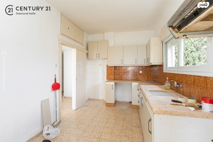 דירה, הרופא זלוצ'יסטי, אחוזה, חיפה