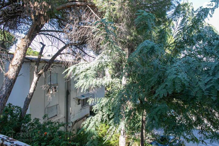 דירה, שמשון, מרכז הכרמל, חיפה