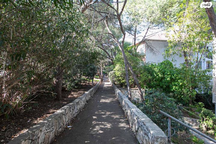 דירה, שמשון, מרכז הכרמל, חיפה