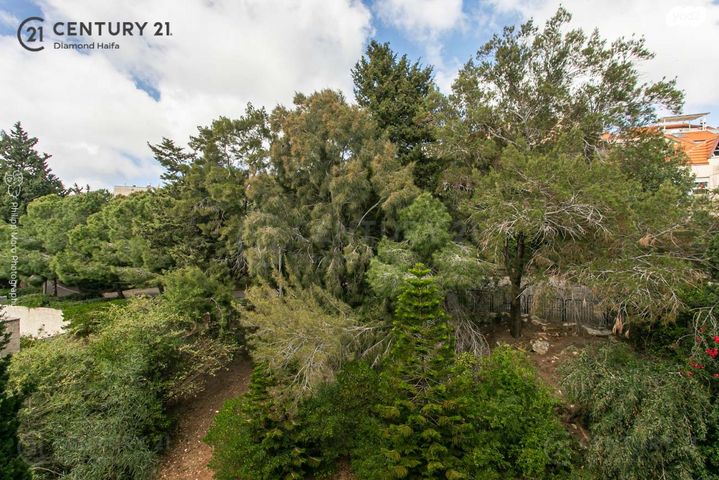 דירה, הרופא זלוצ'יסטי, אחוזה, חיפה