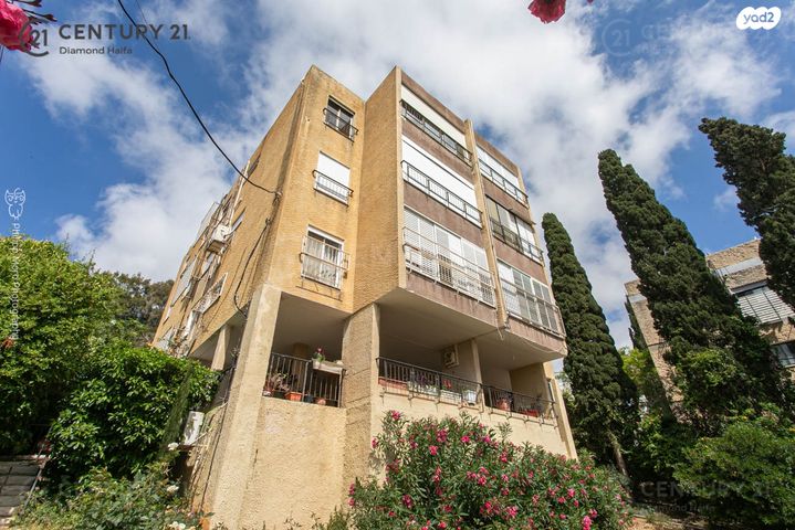 דירה, הרופא זלוצ'יסטי, אחוזה, חיפה