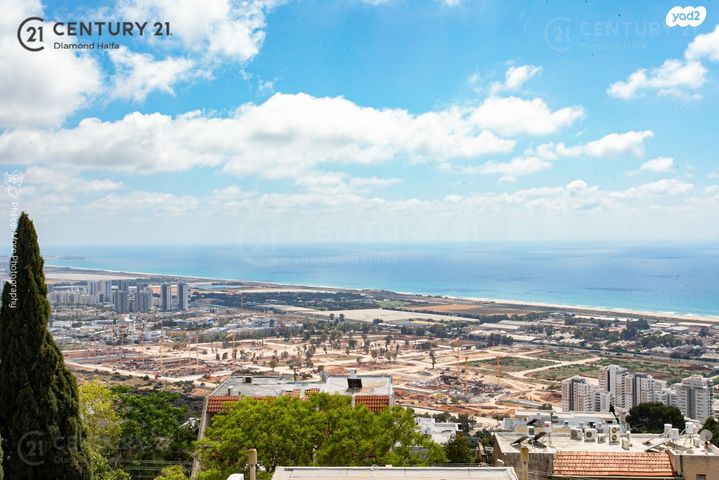 דירה, הרופא זלוצ'יסטי, אחוזה, חיפה