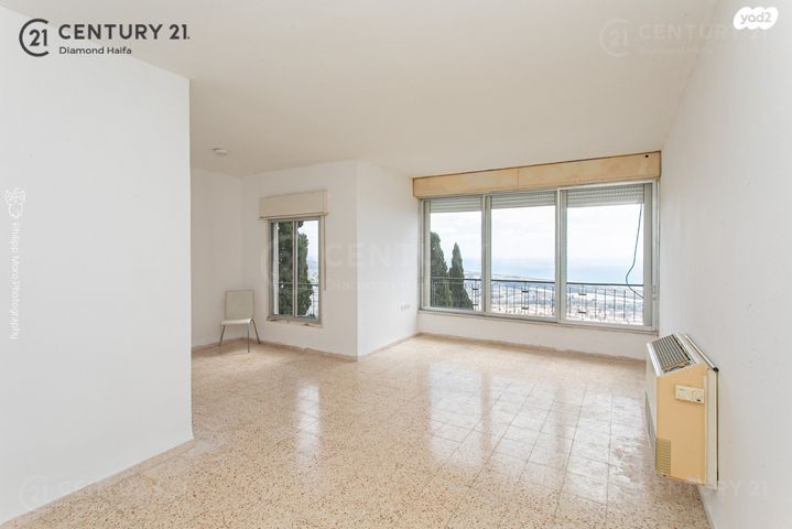 הרופא זלוצ'יסטי 