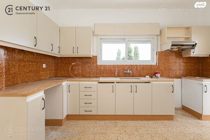 דירה, הרופא זלוצ'יסטי, אחוזה, חיפה