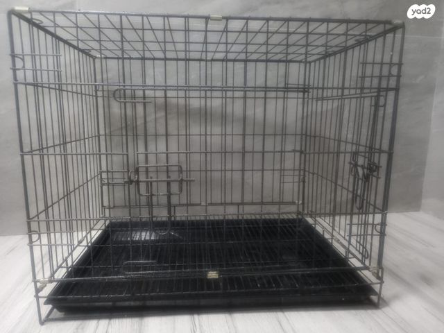 תמונת מודעה - חיות מחמד