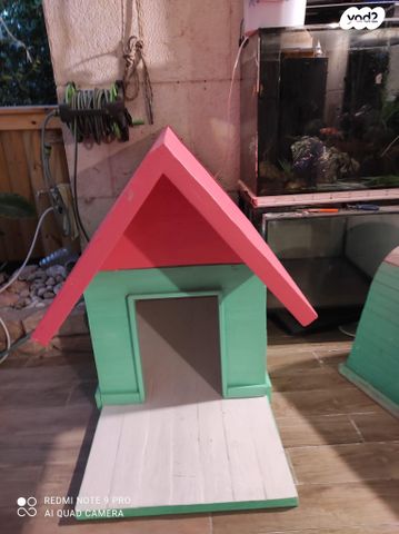 תמונת מודעה - חיות מחמד