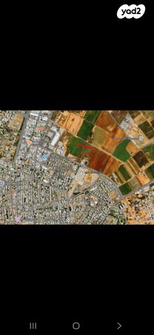 יעקב פריימן 1