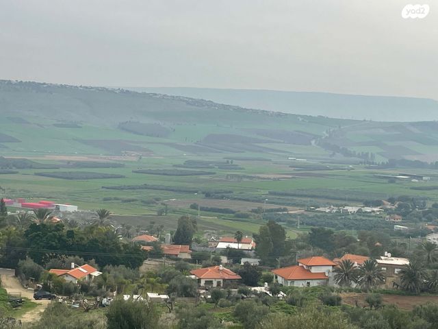 הגפן 1