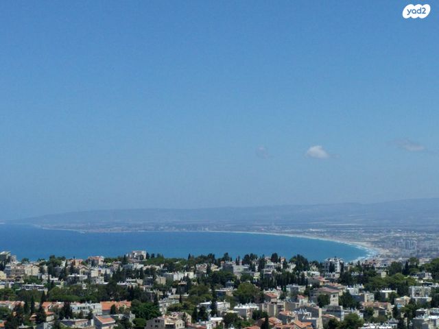 יגאל אלון 14