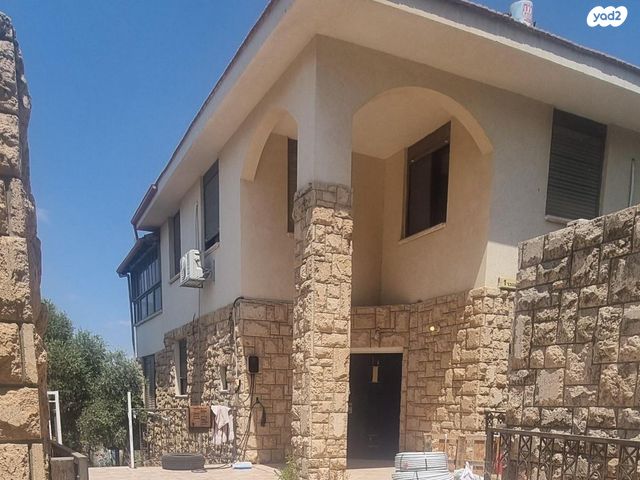 ענבר 1
