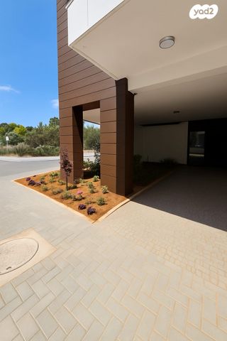 דירה, צבי הירש קלישר, מחנה יהודה, פתח תקווה