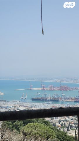 דירה, מרכז הכרמל, חיפה