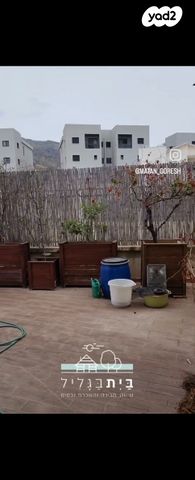 דירת גן, אדמית / יערית, שלומי