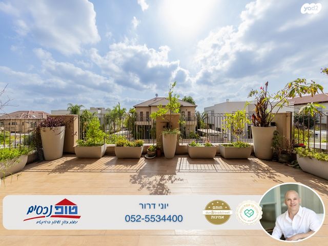 דופלקס, שלמה המלך, הוד השרון