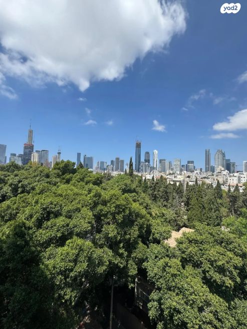 ישראל טייבר 48