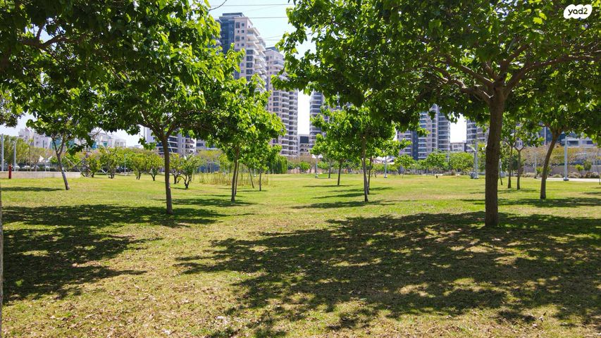 חטיבת גולני 