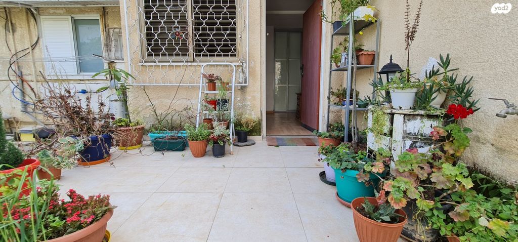 דירה, אריה שנקר, אגרובנק, חולון