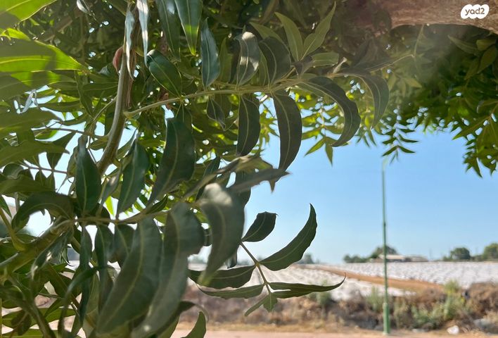 בית פרטי/ קוטג', שאר העיר, קדימה צורן