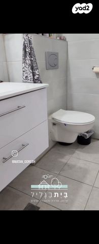 דירת גן, אדמית / יערית, שלומי