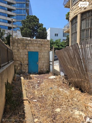 חסן שוקרי 13