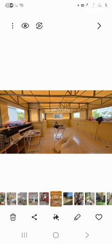 בית פרטי/ קוטג', דרך הארזים, גבעת ארזים, שלומי