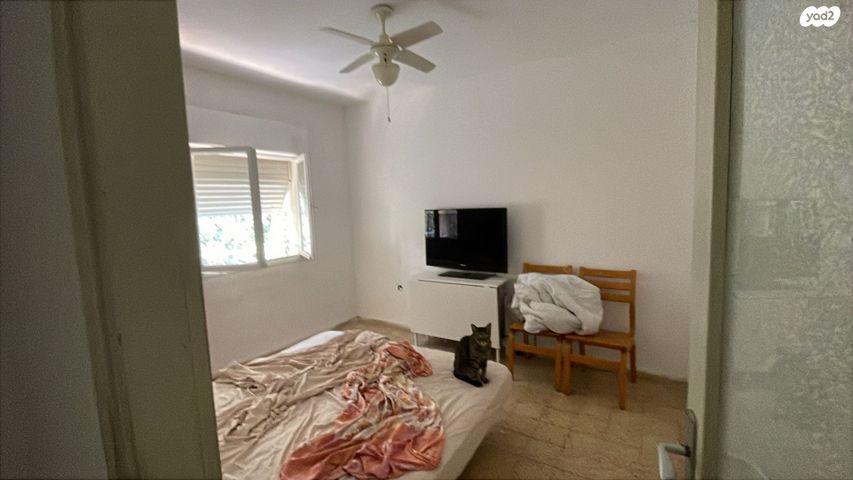 דירה, חולדה, כרמל מרכזי - שד' קיש, חיפה