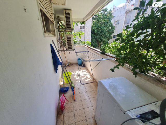 דירה, זנגביל, הצפון הישן - צפון, תל אביב יפו