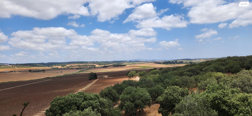 משרדים, רמת ישי