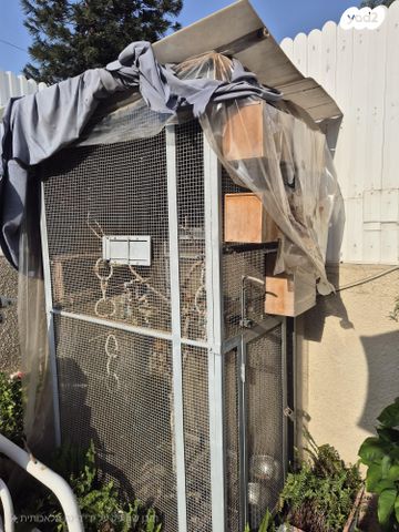 תמונת מודעה - חיות מחמד