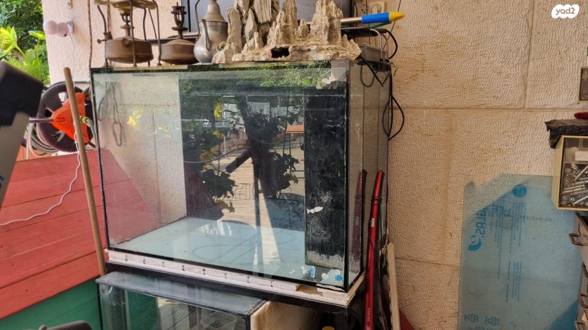 תמונת מודעה - חיות מחמד