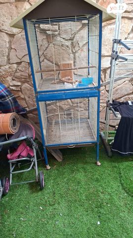 תמונת מודעה - חיות מחמד