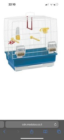 תמונת מודעה - חיות מחמד