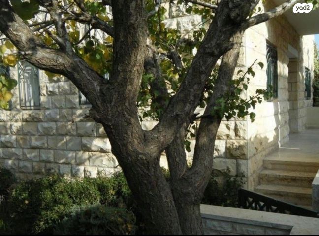 בית פרטי/ קוטג', שמריהו לוין 70, קרית היובל, ירושלים