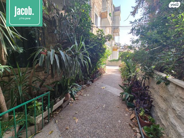 דירת גן, הלל, מסדה, חיפה