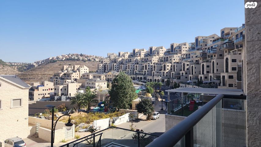 דירה, הכינור, גבעת זאב