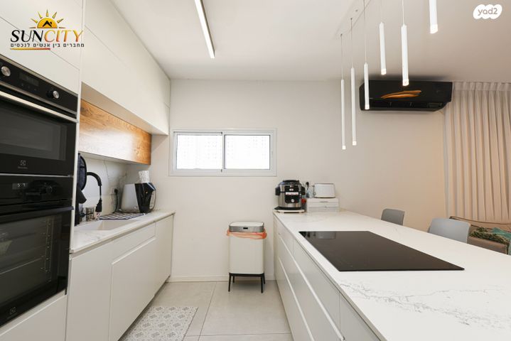 דופלקס, צפון מזרח מרכז העיר, נתניה