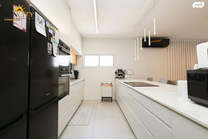 דופלקס, צפון מזרח מרכז העיר, נתניה