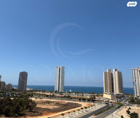 אמנון ליפקין שחק 