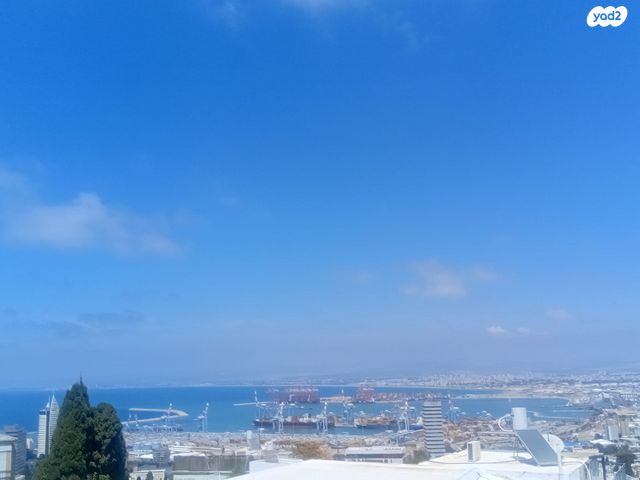 דירה, רש"י, הדר עליון, חיפה